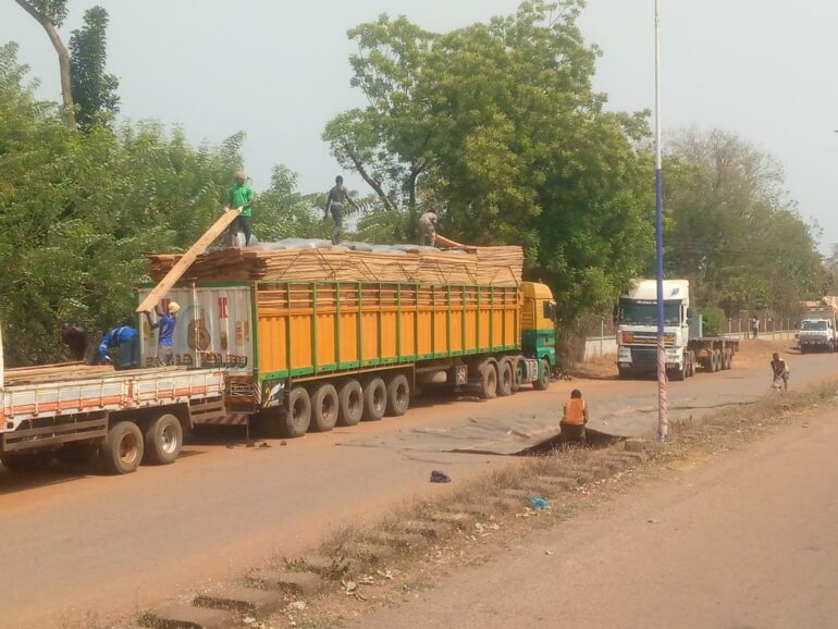 Trucks loaded with bags of cocoa and lumber seized by COCOBOD