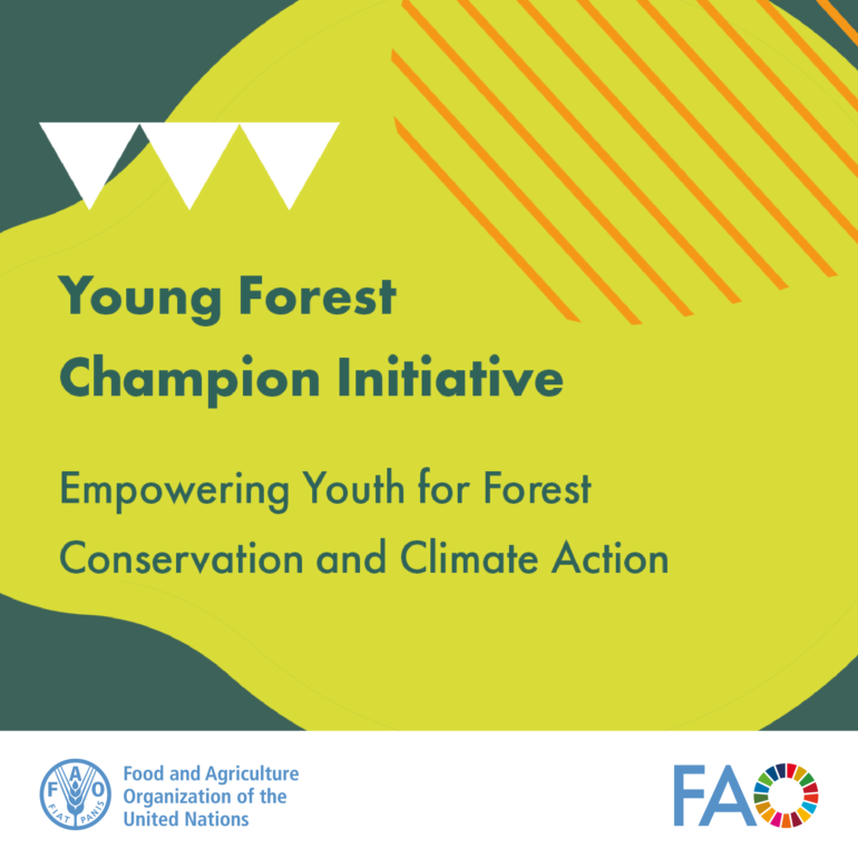 Young Forest Champions Initiative 2025