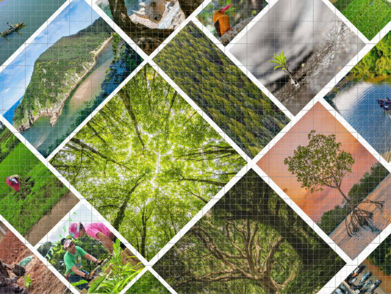 Innovative Climate with-Biodiversity Positive Program 2025