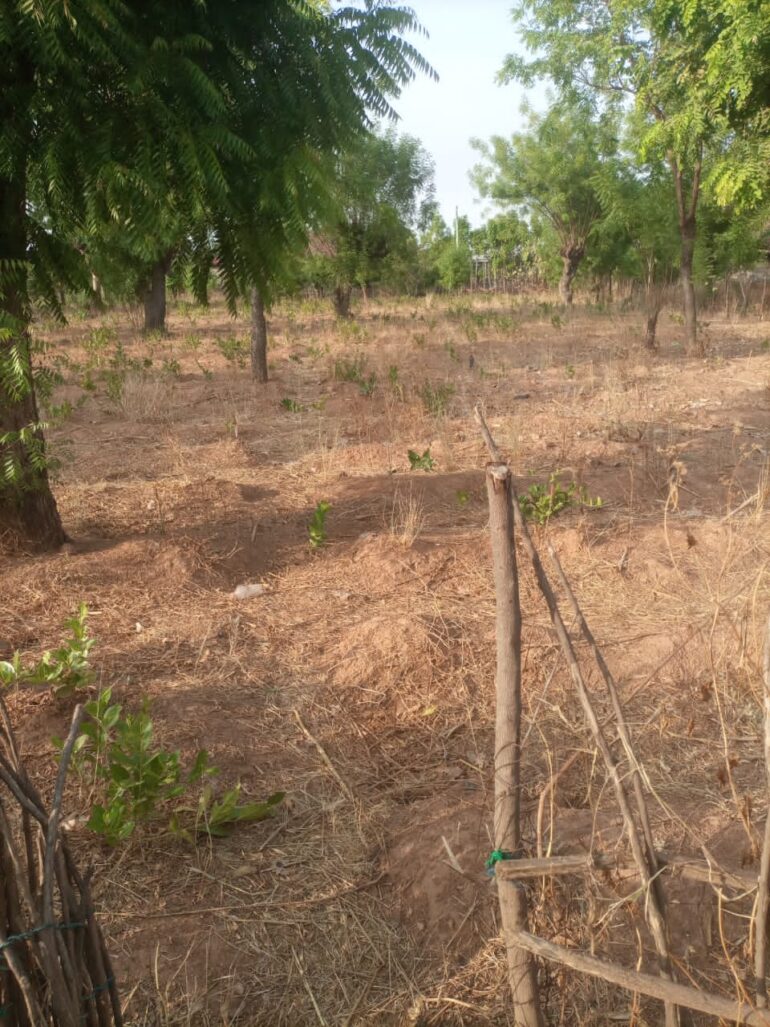 Photos from some farms 
