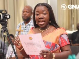 Madam Elizabeth Ofosu-Adjare,
