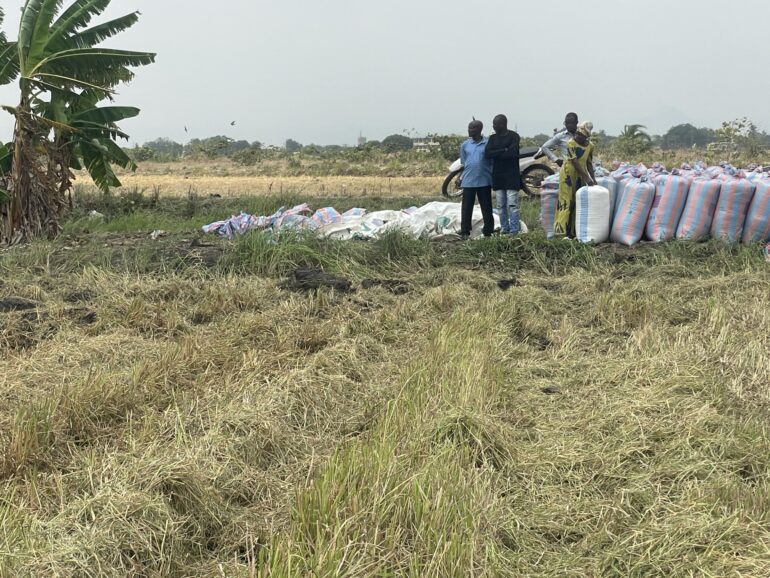 JICA remains committed to Ghana’s efforts to increase domestic rice production – Ms Momoko Suzuki