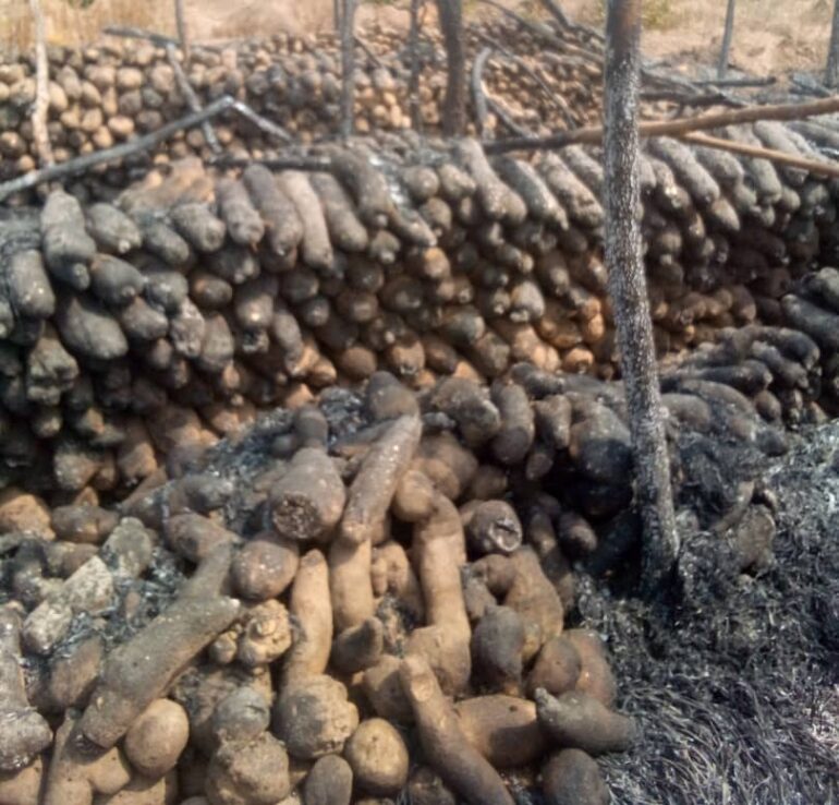 Over 40 barns of yam destroyed by fire at Blajai