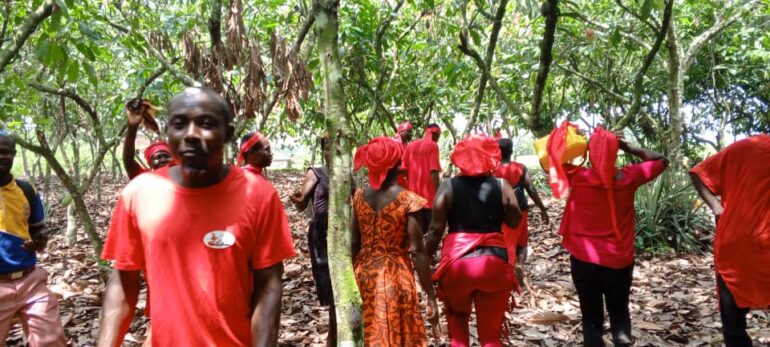 Farmers Alarmed as Chiefs Sell 50,000 Acres of Cocoa Land to Investors