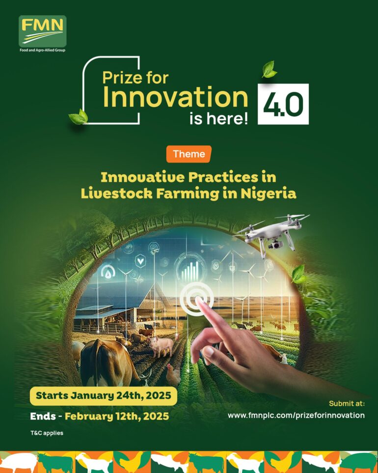 FMN Prize for Innovation
