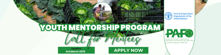 FAO-PAFO Youth Mentorship Program