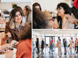 Swedish Institute She Entrepreneurs Programme