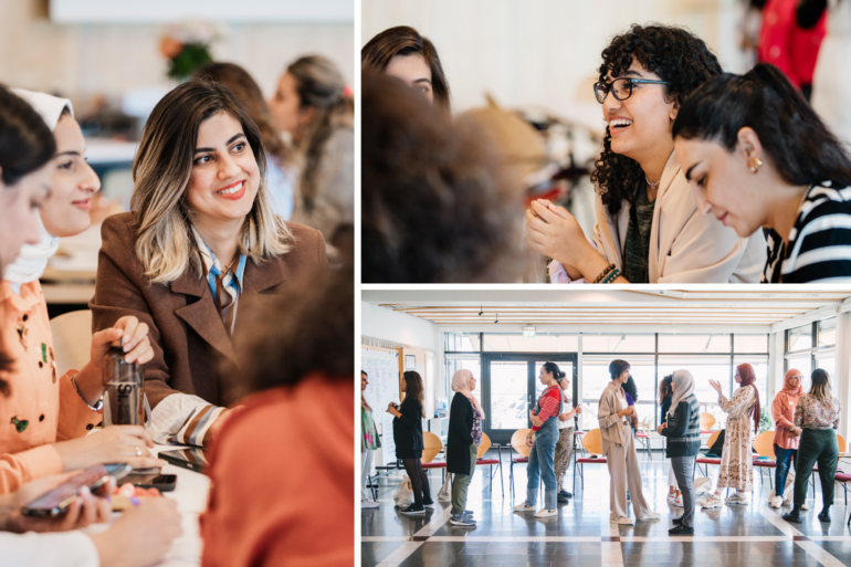 Swedish Institute She Entrepreneurs Programme