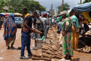 Young Impact Associates in Agrifood Systems Fellowship 