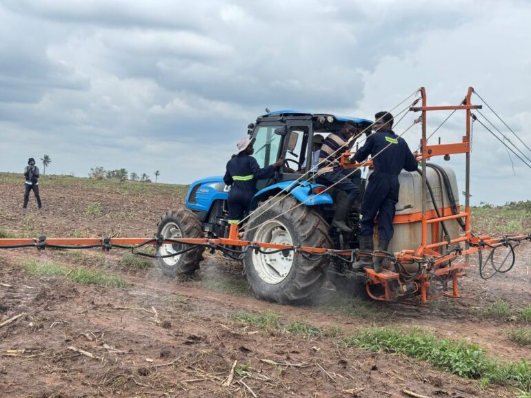 National Service Authority pushes for youth engagement in agriculture
