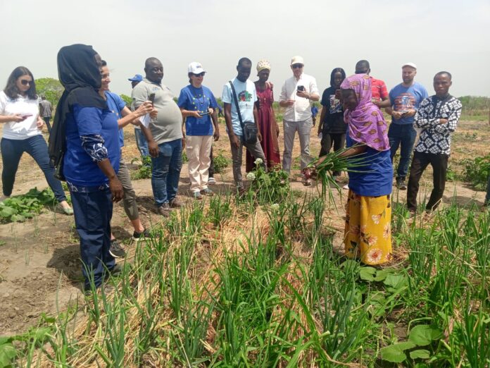 The EU team at the Bissikan irrigation facility The EU team at the Bissikan irrigation facility