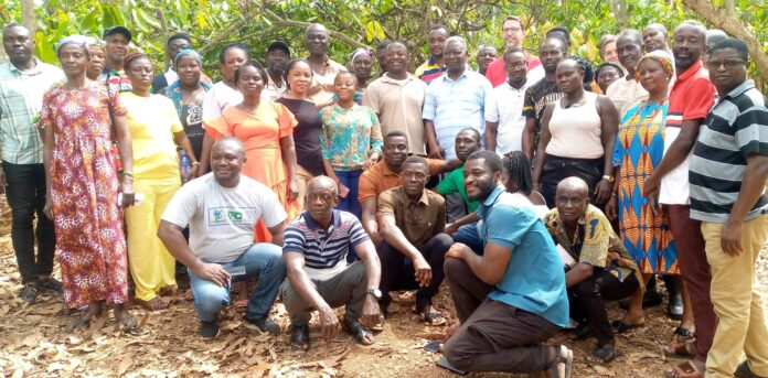 Participants at Abraham farms (cocoa agroforestry farm ), Abodwo a suburb of Bunso in the Eastern Region.