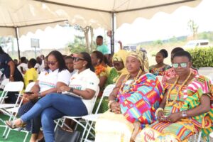 Agri Impact Limited, Mrs Juliana Asante-Dartey