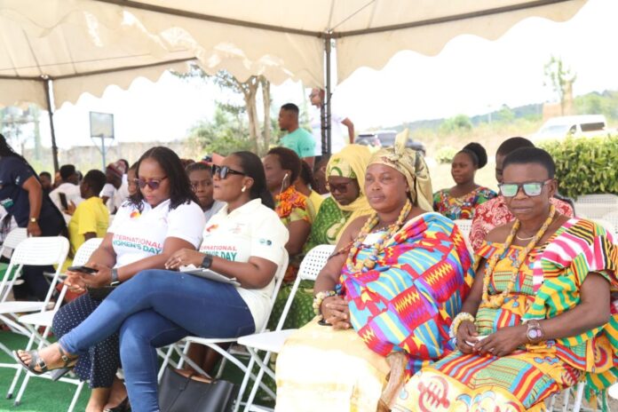 Agri Impact Limited, Mrs Juliana Asante-Dartey
