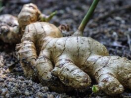 Rising ginger prices spark concern among consumers and traders in Ghana ginger