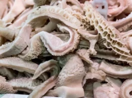 animal intestines, bladders, and stomachs, yemuadie