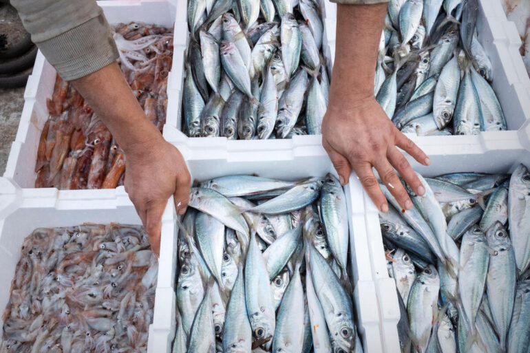 China’s decision to become a Party to the PSMA is a significant development in the implementation of the Agreement as it represents one of the most important fishing nations. ©FAO/Massimo Berruti