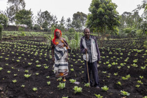 Around 2.5 million more people have been pushed into acute food insecurity, as UN agencies grapple with increasing needs.©FAO /  Alessandra Benedetti