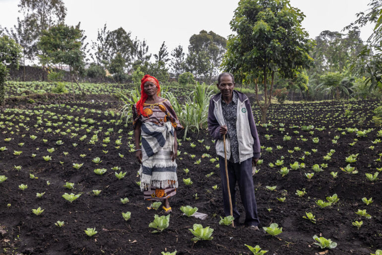 Around 2.5 million more people have been pushed into acute food insecurity, as UN agencies grapple with increasing needs. ©FAO / Alessandra Benedetti