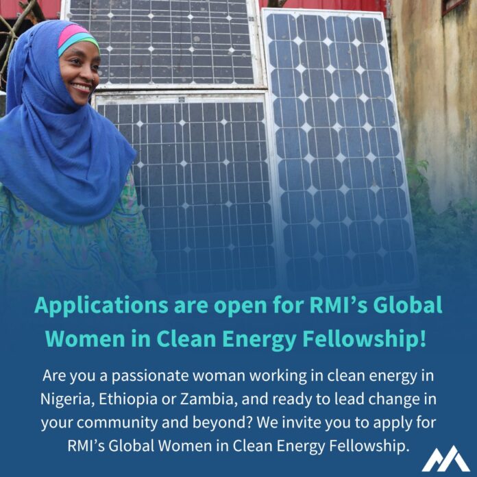Global Women in Clean Energy Fellowship for women professionals