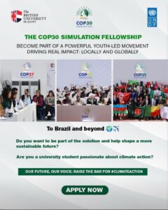 The Cop30 Simulation Fellowship