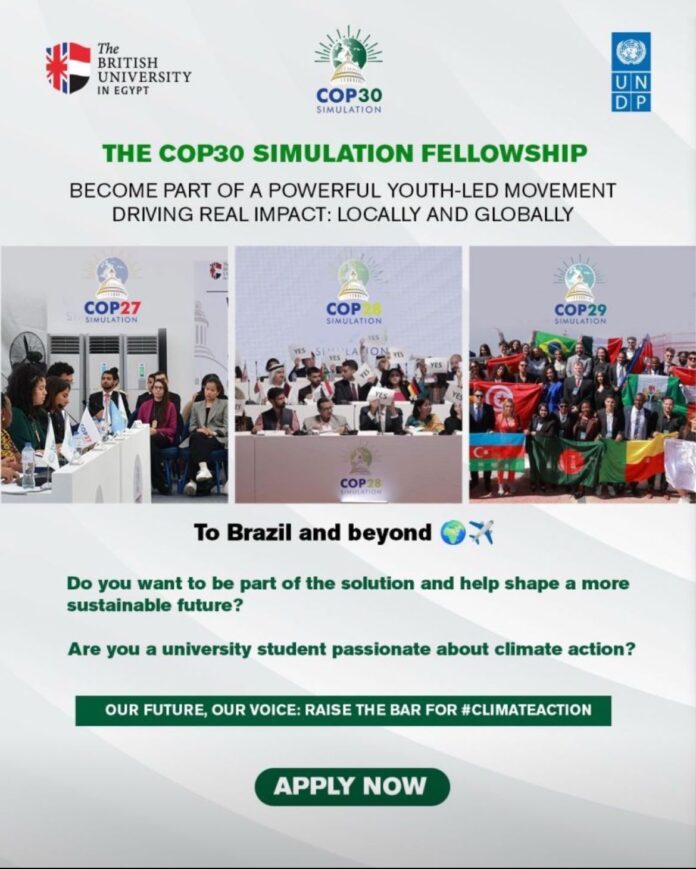 The Cop30 Simulation Fellowship