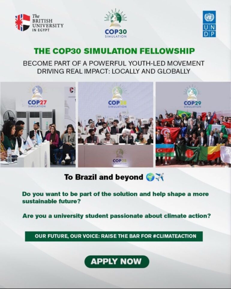 The Cop30 Simulation Fellowship