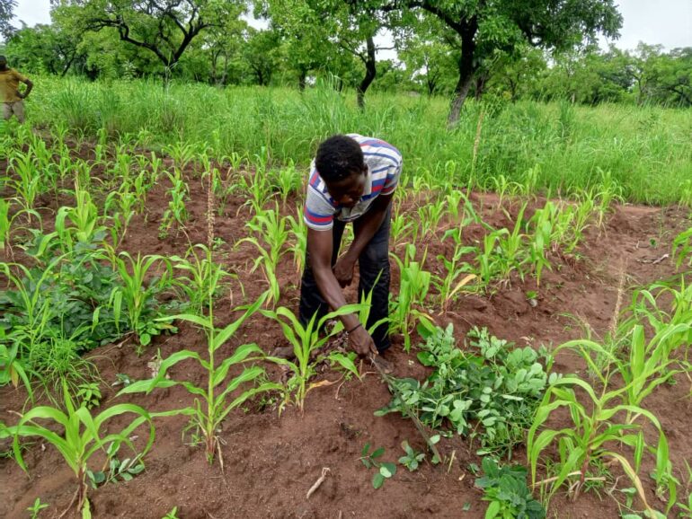 photo of women on the farm 
