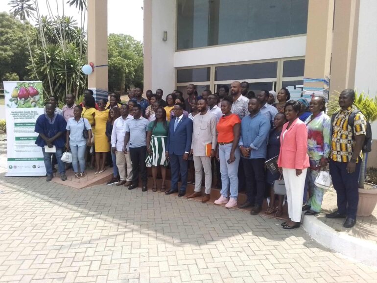 MA-CASH Project tackles post-harvest losses in Ghana’s cashew industry
