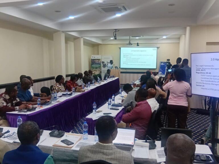 Ghana gears up for FLEGT timber licensing rollout by June 2025