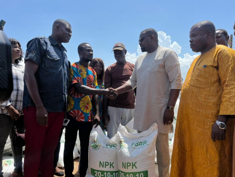 Government takes steps to transform vegetable farming in Ghana