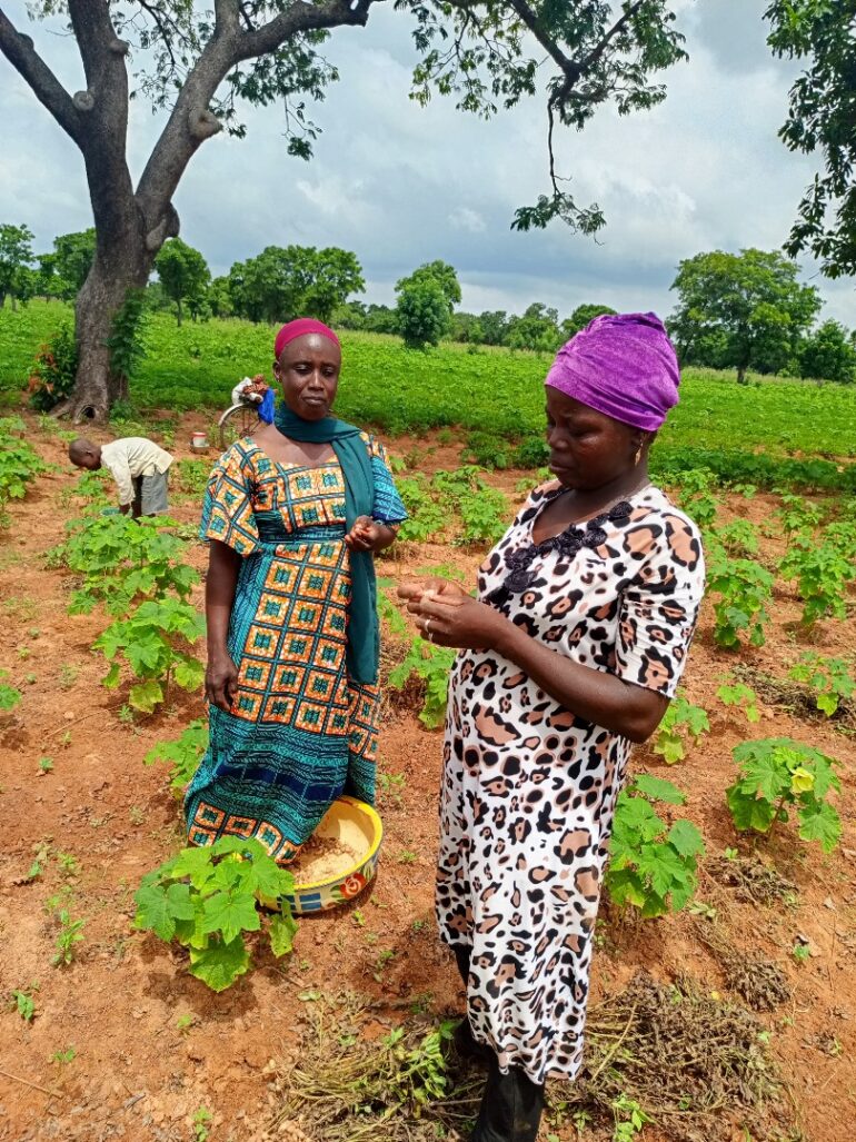 Some photos showing women farmers