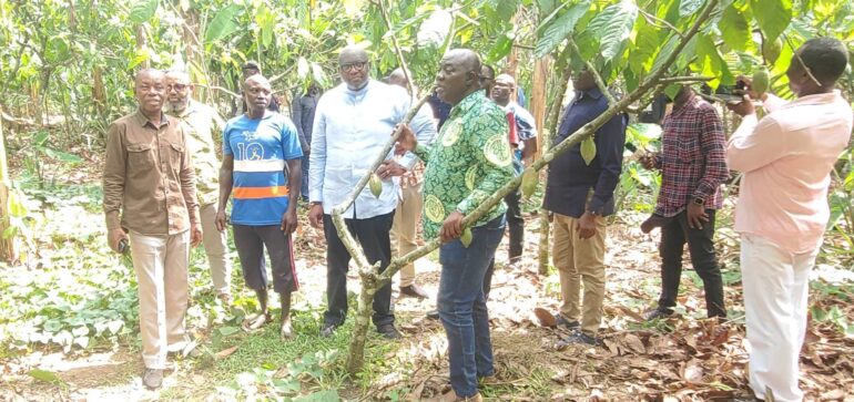 COCOBOD targets 60,000 tonnes cocoa output in Oti Region by 2026