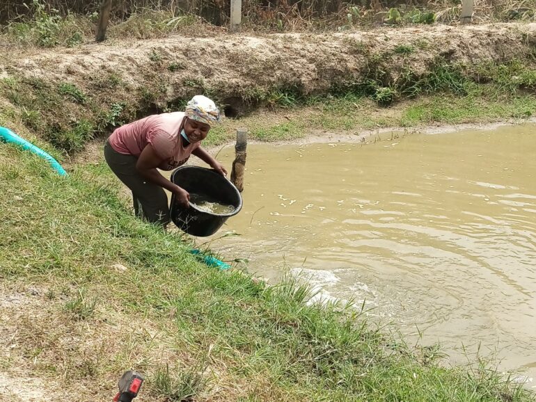 Fish farmer appeals for dams to sustain livelihoods amid climate crisis