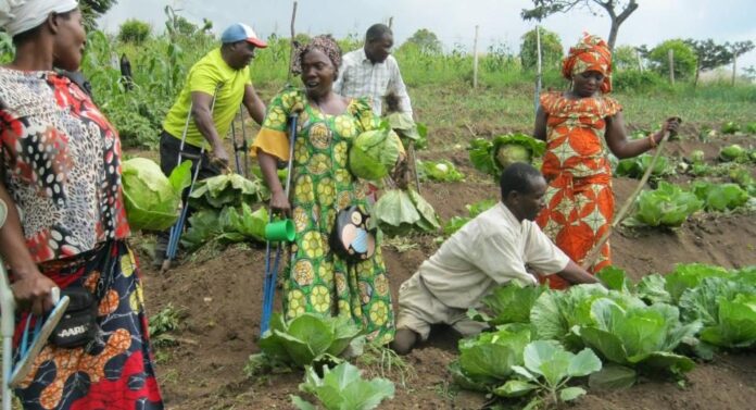 “Twice Marginalised, Yet Full of Potential”: Empowering Women with Disabilities in Ghana’s Agricultural Value Chain