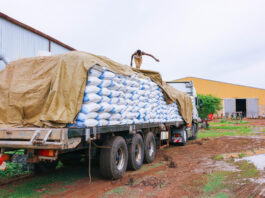 Catastrophic hunger (IPC/CH Phase 5) hits all-time high since the GRFC began tracking in 2016. ©FAO/Mahmoud Shamoruk