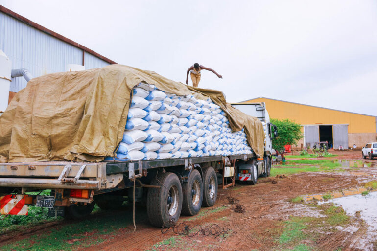 Catastrophic hunger (IPC/CH Phase 5) hits all-time high since the GRFC began tracking in 2016. ©FAO/Mahmoud Shamoruk