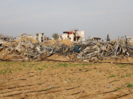 Before the start of the conflict, agriculture accounted for approximately 10 percent of Gaza’s economy. ©FAO/Yousef Alrozzi