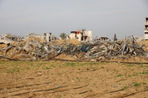 Before the start of the conflict, agriculture accounted for approximately 10 percent of Gaza’s economy.©FAO/Yousef Alrozzi