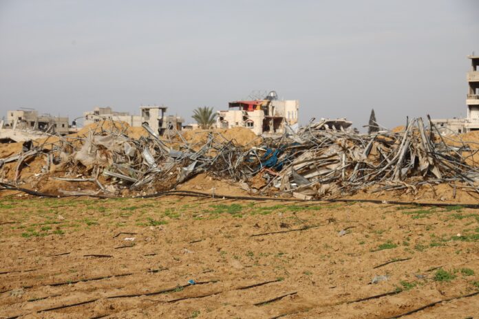 Before the start of the conflict, agriculture accounted for approximately 10 percent of Gaza’s economy. ©FAO/Yousef Alrozzi