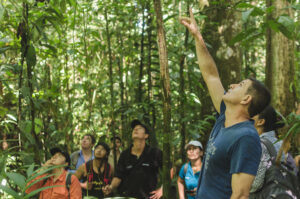 International Tropical Timber Organization (ITTO) Fellowship programme
