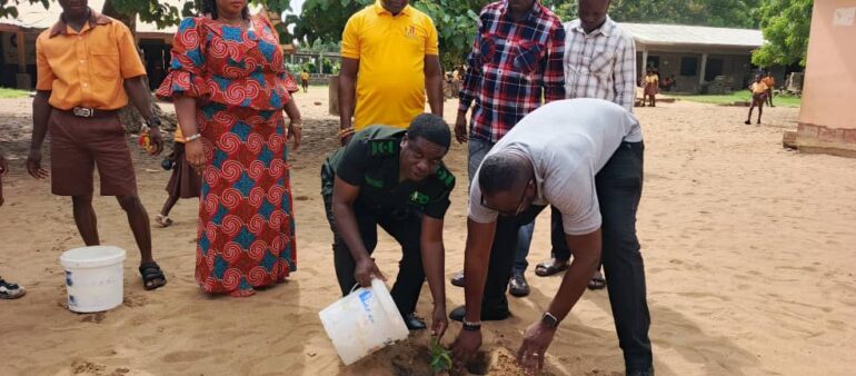 Anloga Forestry Commission plants 20,000 trees to restore degraded lands