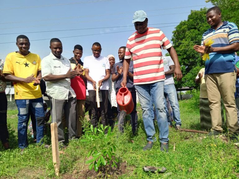 Volta Region targets 200,000 trees for Green Ghana Day