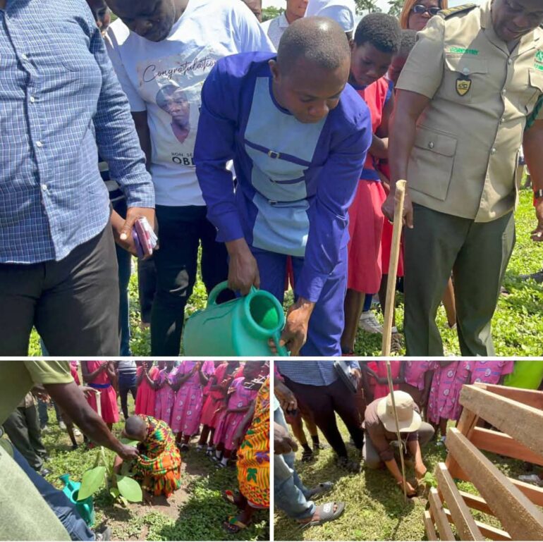 Bibiani MCE calls for support for “Tree for Life” initiative