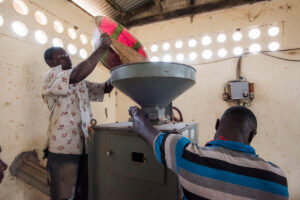 Farmers working with the new milling machine at the Holima Agri-business Centre in Bo District, Sierra Leone.©FAO/Sebastian Liste