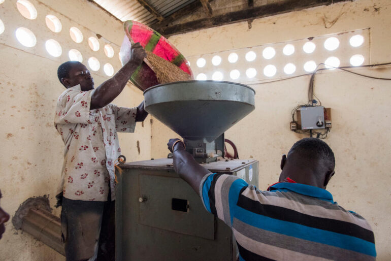 Farmers working with the new milling machine at the Holima Agri-business Centre in Bo District, Sierra Leone. ©FAO/Sebastian Liste