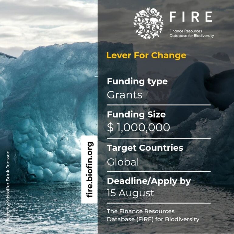 Emerging Climate Champions Award