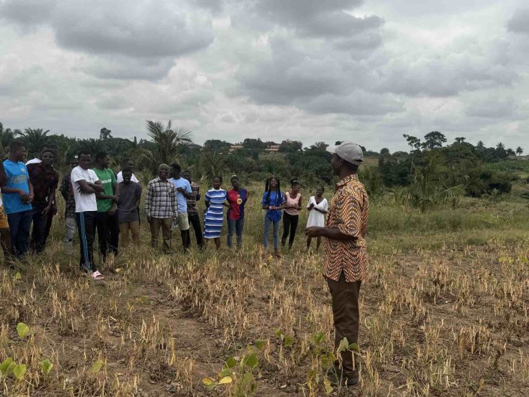 Students trained on common bean seed production