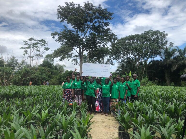 GFGF supports farmers to raise 24,000 oil palm seedlings