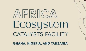 Africa Ecosystem Catalyst Facility 2025
